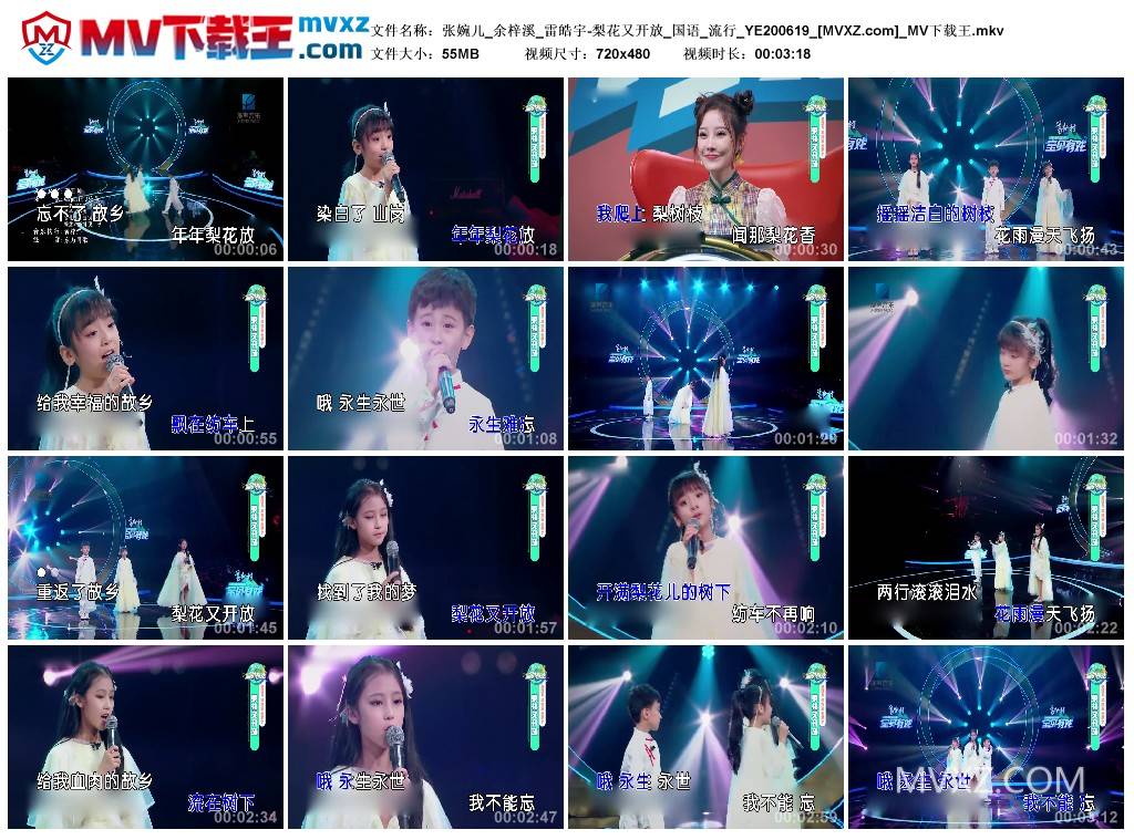 张婉儿_余梓溪_雷皓宇-梨花又开放_国语_流行_YE200619